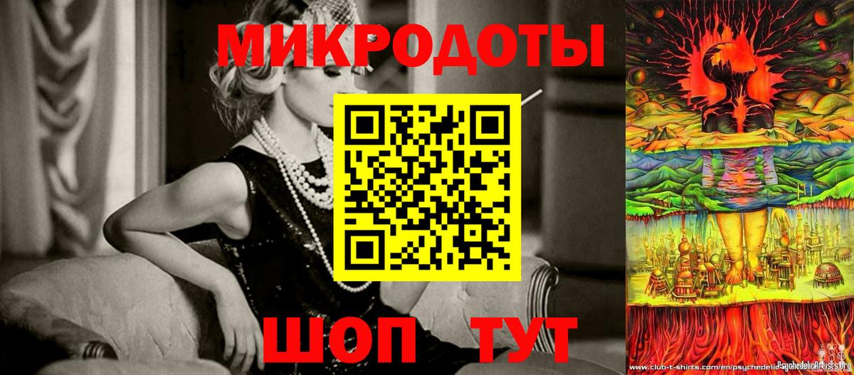 Галлюциногенные грибы Psilocybe Партизанск