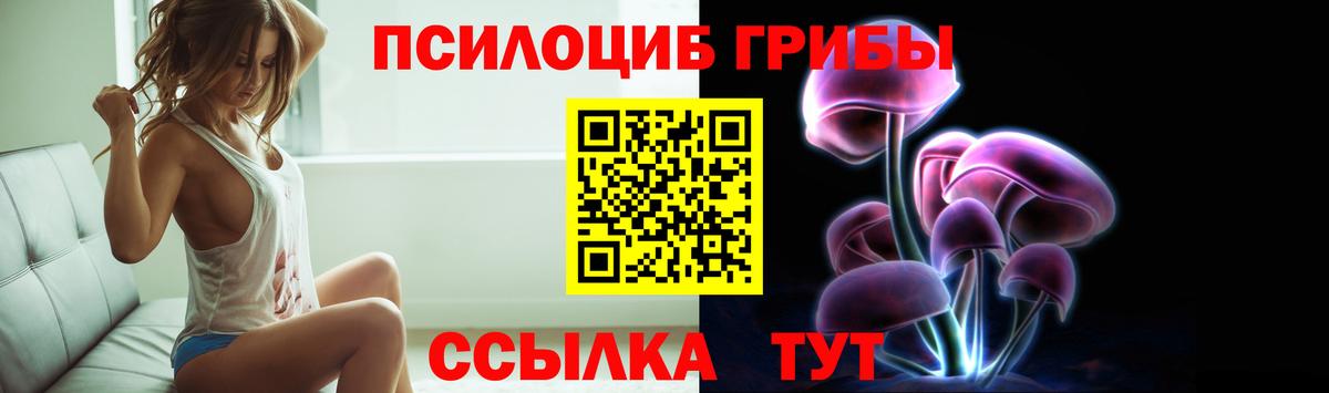 Партизанск  Псилоцибиновые грибы Psilocybine cubensis  Вход с VPN 